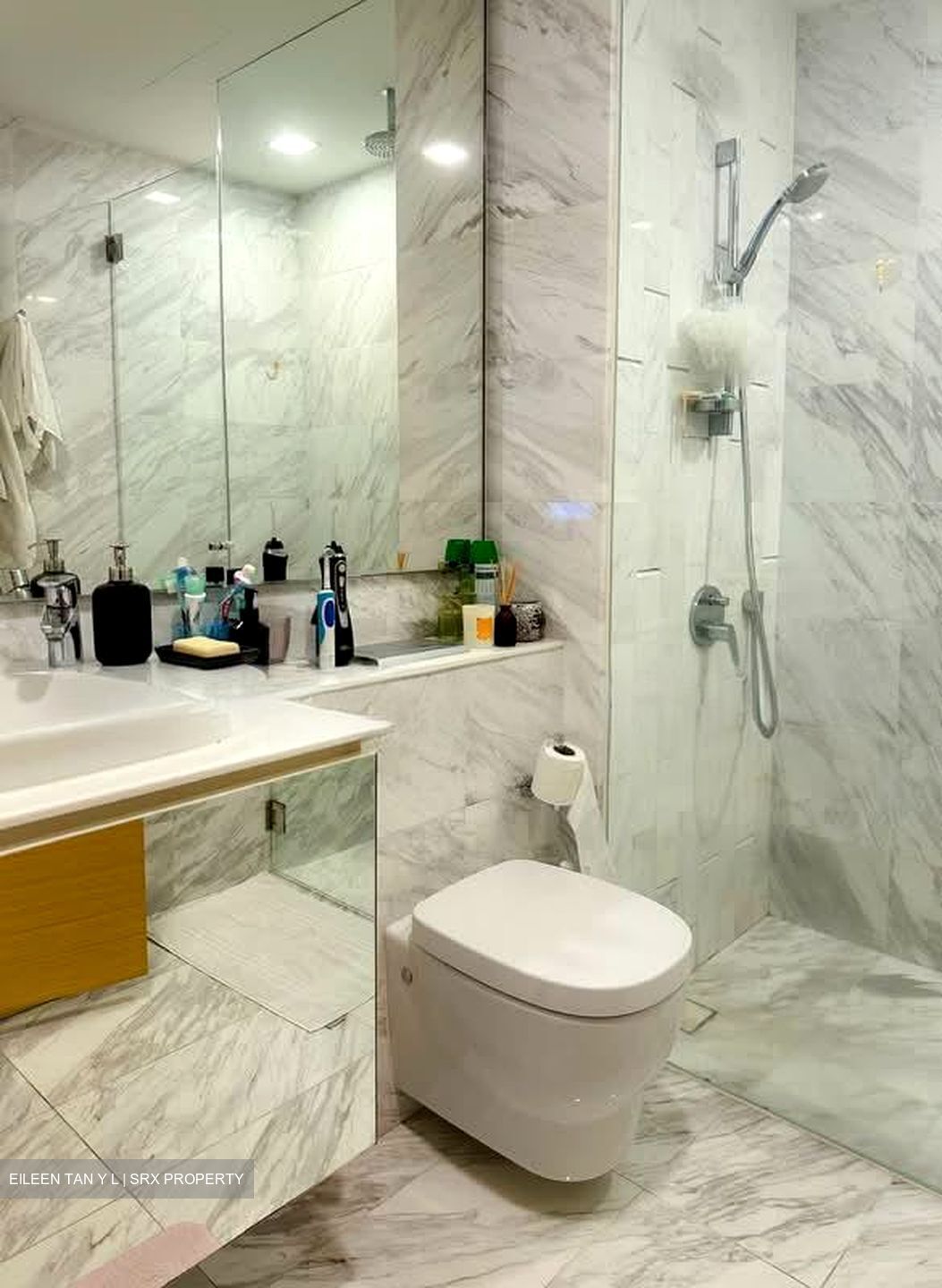 Waterscape at Cavenagh (D9), Apartment #566451721